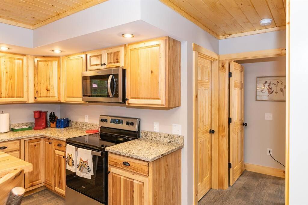 The Snow Owl Cabin マギー・バレー エクステリア 写真
